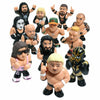 Mystery Mini WWE Series 2 One Mystery Vinyl Figure