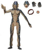 Shape of Water Amphibian Man 7" Action Figure