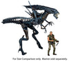 Aliens Alien Queen Deluxe Boxed Action Figure