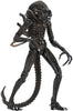 Aliens 1986 Brown Alien Ultimate Warrior 7" Action Figure