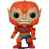 Pop Master of the Universe Beast Man Vinyl Figure