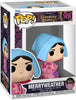 Pop Disney Sleeping Beauty 65th Anniversary Merryweather Vinyl Figure #1456