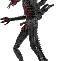 Alien 40th Anniversary Wave 2 Bloody Xenomorph 7” Action Figure