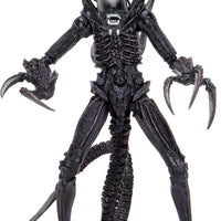 Aliens Chrysalis Alien, Arachnoid Alien, Razor Claws Alien 7" Action Figure