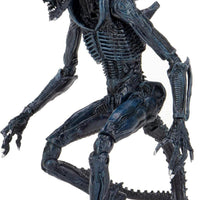 Aliens Chrysalis Alien, Arachnoid Alien, Razor Claws Alien 7" Action Figure