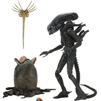 Aliens 40th Anniversary Big Chap Ultimate 7" Action Figure