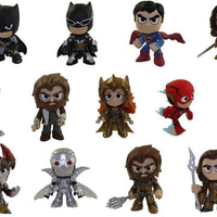Mystery Minis DC Justice League Mystery One Vinyl Figure