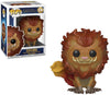 Pop Fantastic Beast 2 Zouwu Vinyl Figure