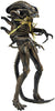 Aliens Series 12 Xenomorph Warrior Brown Battle Damaged 7" Action Figure