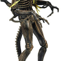 Aliens Series 12 Xenomorph Warrior Brown Battle Damaged 7" Action Figure
