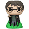 Pop Harry Potter Harry Potter Glow in the Dark Vinyl Figure Funko Shop Exclusive #153