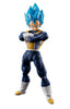 S.H. Figuarts Dragon Ball Super Broly Super Saiyan God Super Saiyan Vegeta Action Figure