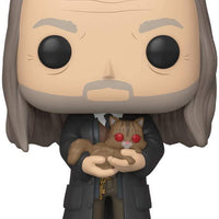 Pop Harry Potter Filch & Mrs. Norris Vinyl Figure 2019 NYCC Fall Convention Exclusive