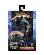 Aliens vs Predator Arcade Appearance Chrysalis Alien 7" Action Figure