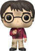 Pop Harry Potter 20th Anniversary Harry with the Stone Vinyl Figure #132