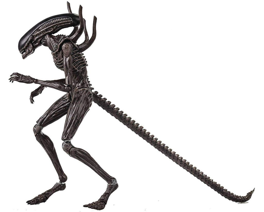 Aliens Xenomorph Action Figure Scale 1/18 PX Exclusive