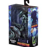 Aliens vs Predator Arcade Appearance Arachnoid Alien 7" Action Figure